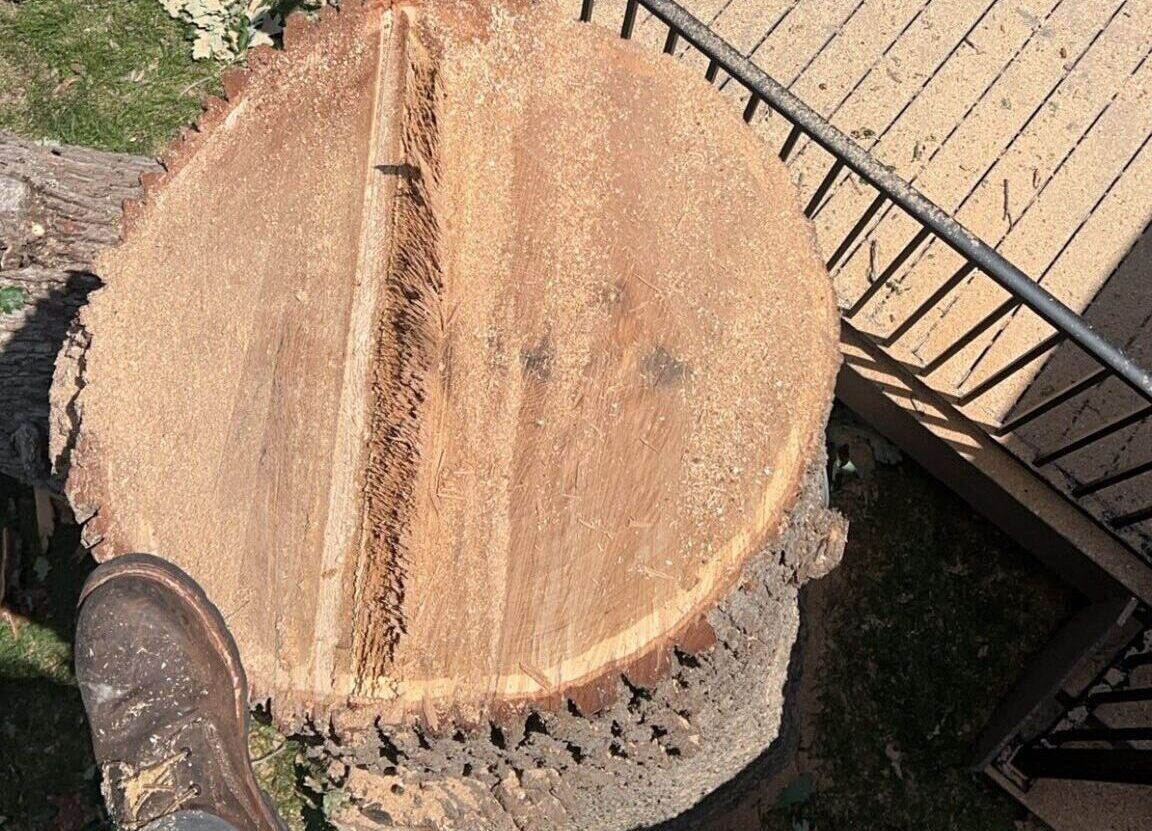 502466618_1194502282374263_7169421908149183352_n