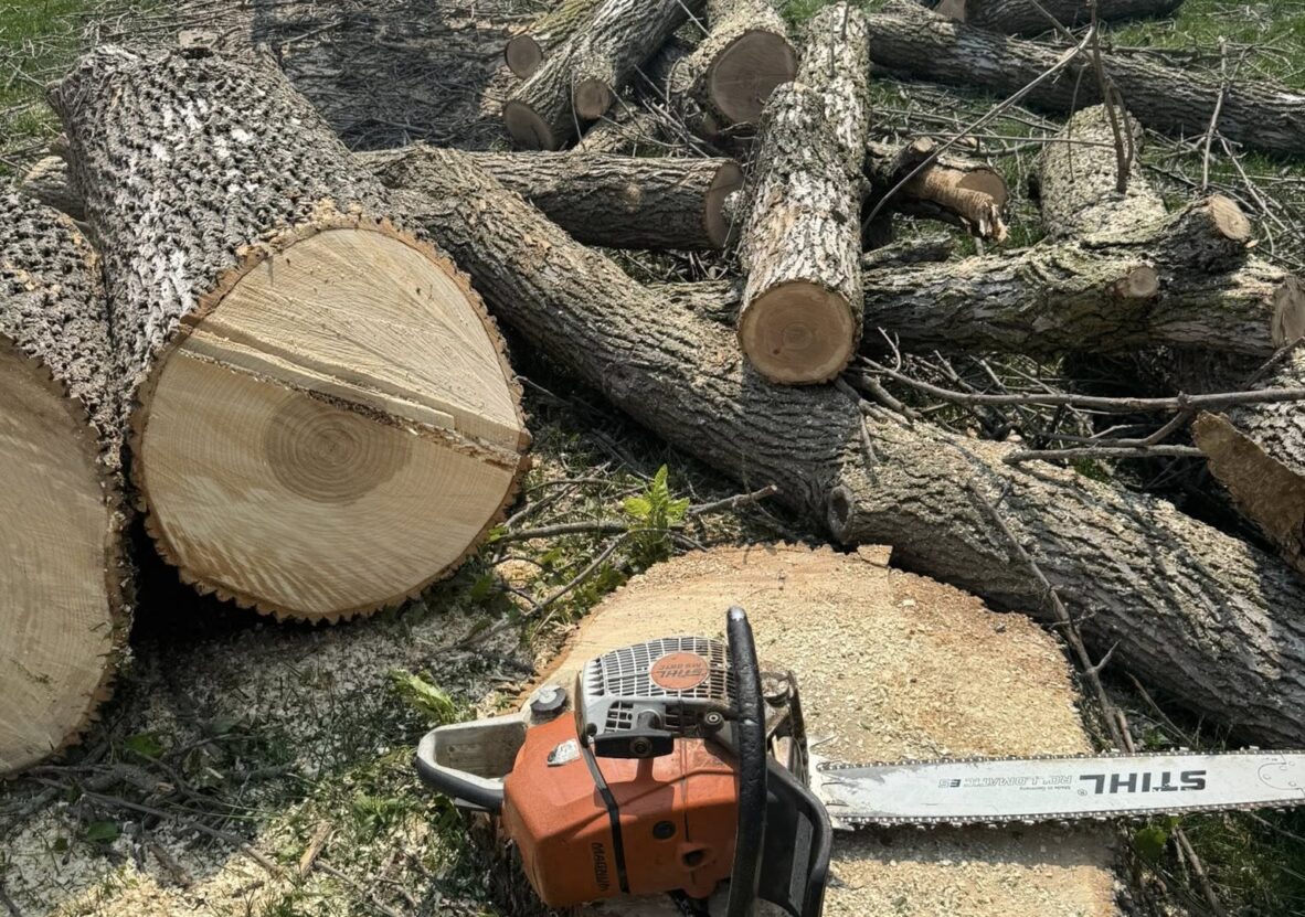 502528515_1195951402229351_2365529211252415203_n