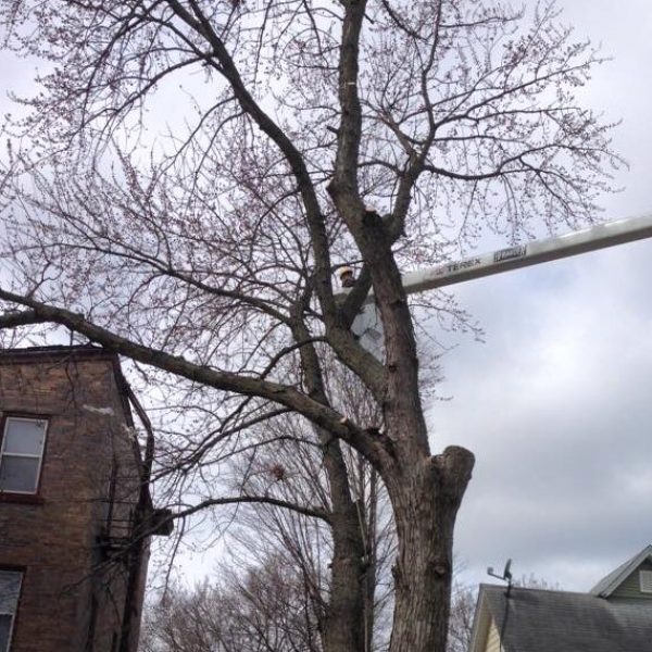 554763874_24494135606881920_2758148314327492604_n