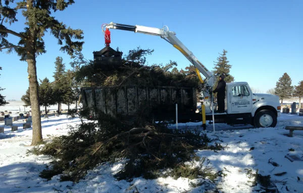storm damage tree removal e