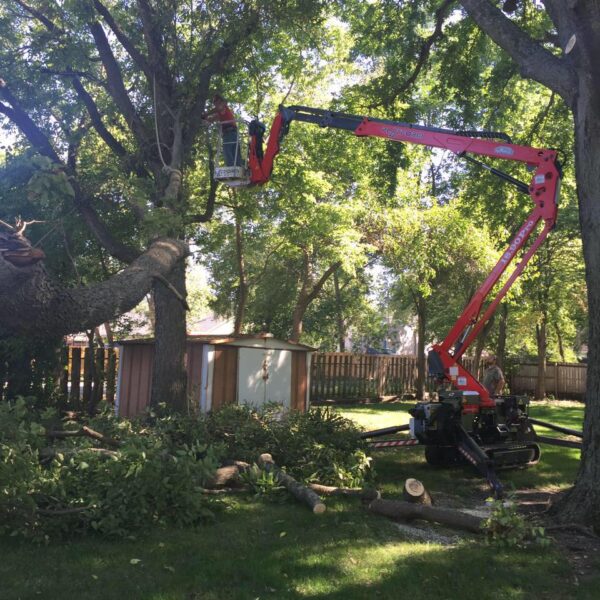 307712042_589011389590025_5362858116123524339_n (1)