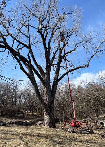 510811400_1211513374006487_521546620364778922_n