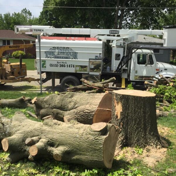 552492092_24483060577989423_1473078872512991111_n