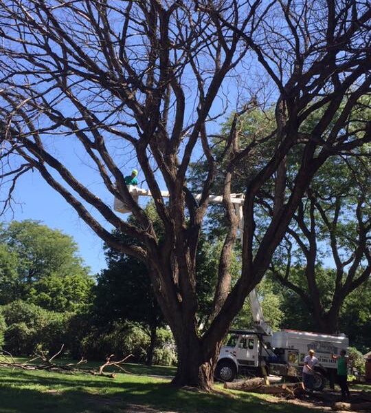 554813691_24502160059412808_937722897955018588_n