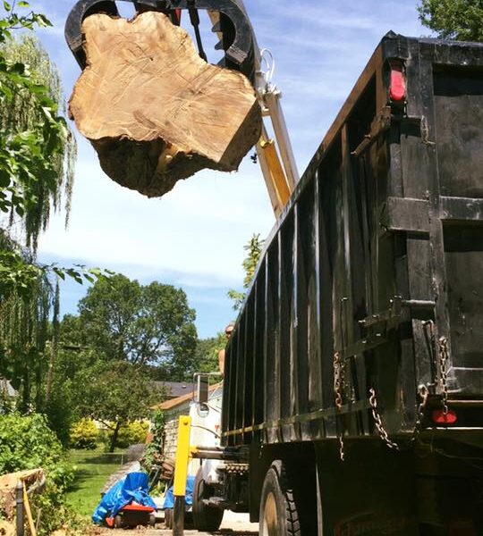 555428577_24502077902754357_3083346970624582060_n