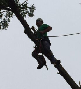 555501257_24485585484403599_8064939974240641421_n