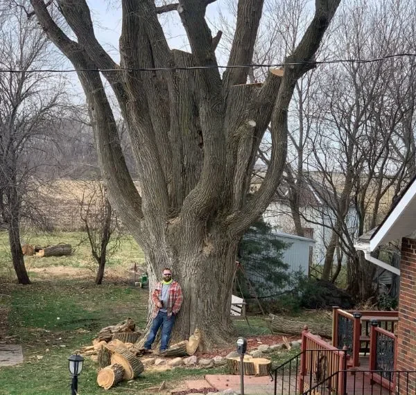 Tree-Service-adv-1920w (1)