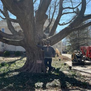 481903393_1132674388557053_6228612858070946104_n