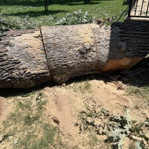 497952278_1194502312374260_9216342982894568882_n (1)