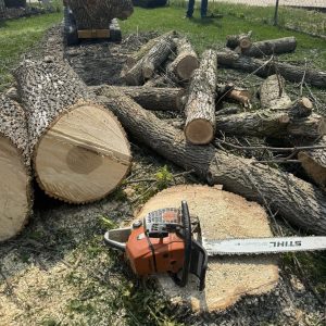 502528515_1195951402229351_2365529211252415203_n (1)