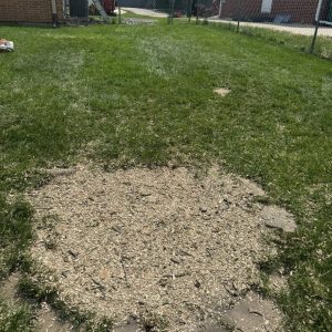 503203950_1195951432229348_3587019744972170826_n