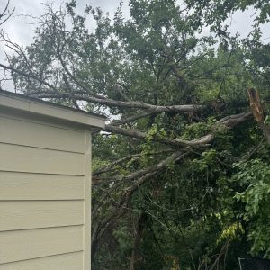 504381570_1229710918853399_5802176583496566886_n