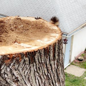 505880630_1202775424880282_3975234730456315930_n