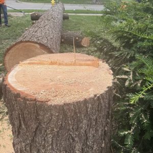 506793182_1206955844462240_5877064346971394251_n