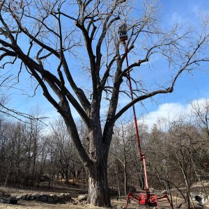 510811400_1211513374006487_521546620364778922_n