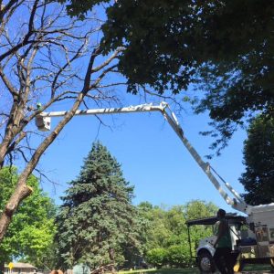 552815266_24502160076079473_3792941879833021972_n