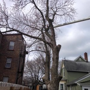 554763874_24494135606881920_2758148314327492604_n (1)