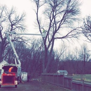 555379946_24513212834974197_9160758788892826601_n