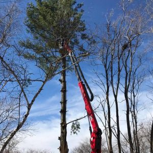 556241085_24512974551664692_7725193297060285521_n