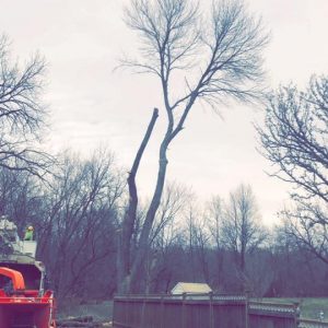 556516482_24513212704974210_6035806433722991833_n