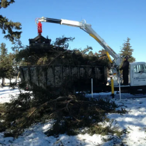 storm damage tree removal e
